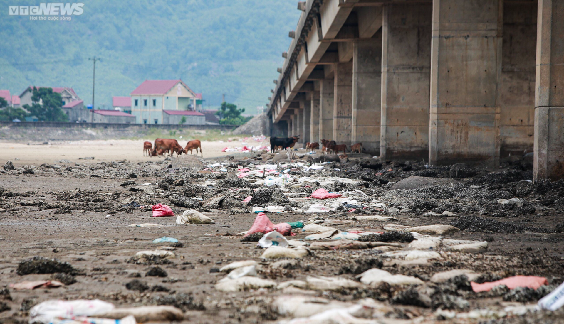 Hàng trăm tấn ‘rác’ bị bỏ rơi dưới chân cầu 500 tỷ đồng - Ảnh 4.