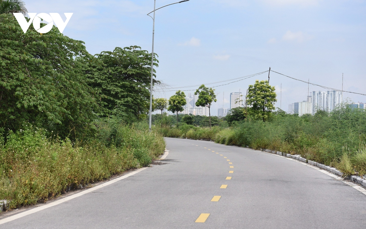 Công viên gần 100 ha ở Hà Nội biến thành bãi trồng rau, tập kết rác thải - Ảnh 1.
