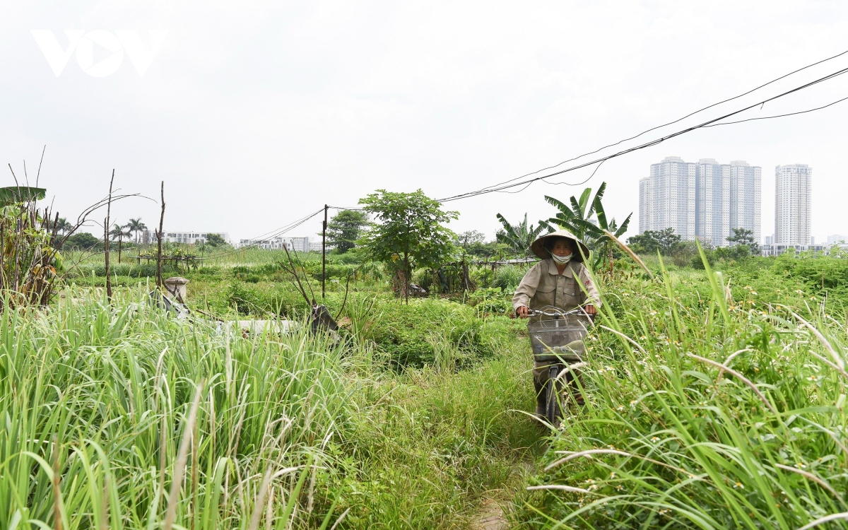 Công viên gần 100 ha ở Hà Nội biến thành bãi trồng rau, tập kết rác thải - Ảnh 13.