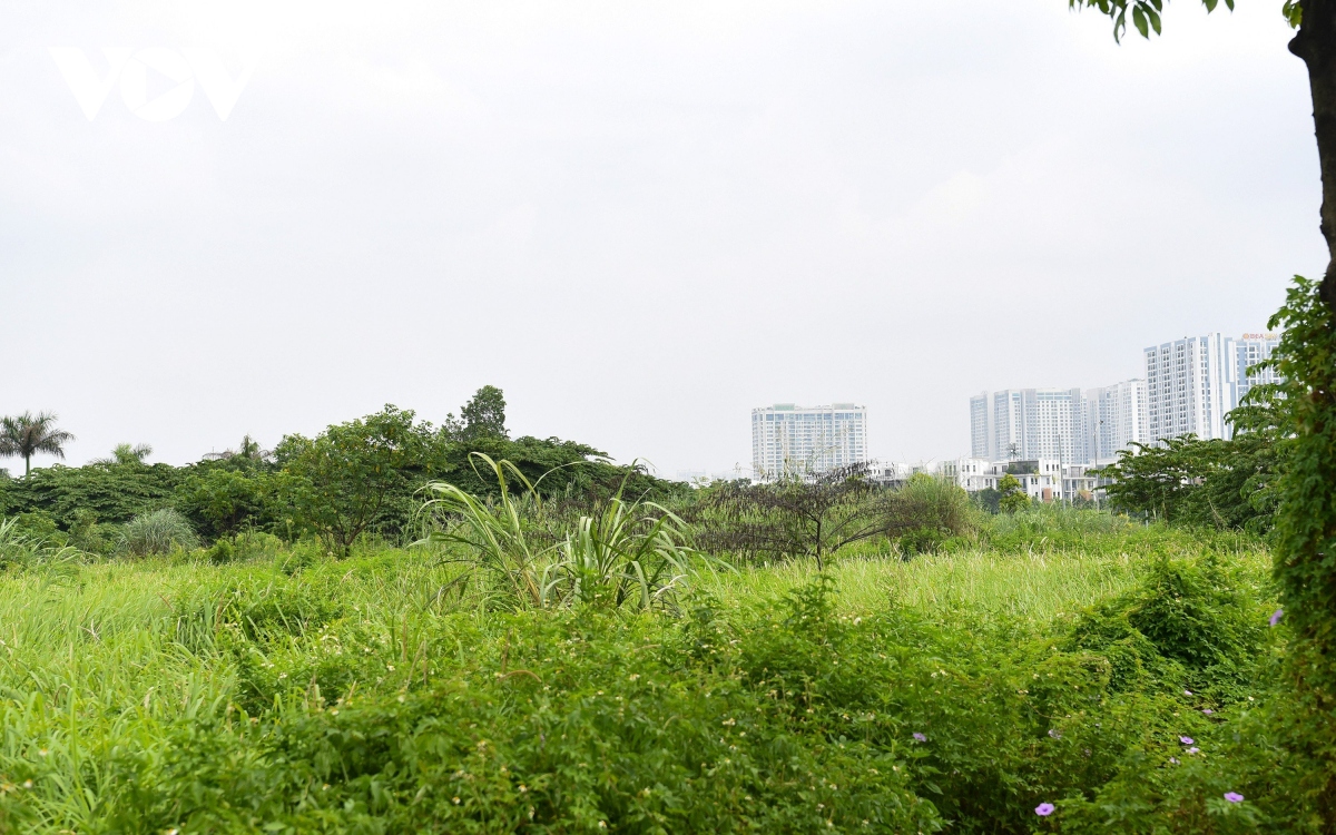 Công viên gần 100 ha ở Hà Nội biến thành bãi trồng rau, tập kết rác thải - Ảnh 3.