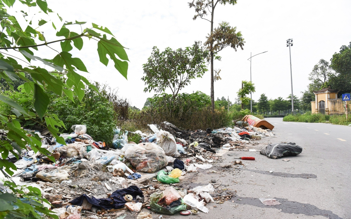 Công viên gần 100 ha ở Hà Nội biến thành bãi trồng rau, tập kết rác thải - Ảnh 9.