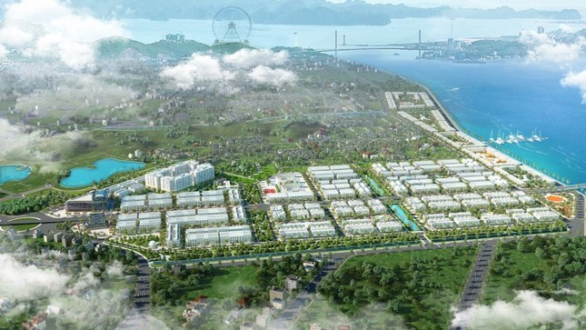 Sau đề nghị thu hồi, FLC nộp bổ sung 100 tỷ tiền đất dự án khu đô thị ở Quảng Ninh - Ảnh 1.
