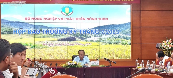 ‘Cần chớp thời cơ xuất khẩu gạo’ - Ảnh 2.