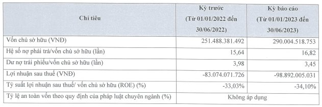 Hai công ty BĐS của nữ đại gia 8x phát hành hàng nghìn tỷ trái phiếu, tiếp tục &quot;lỗ đậm&quot; nửa đầu năm 2023 - Ảnh 5.