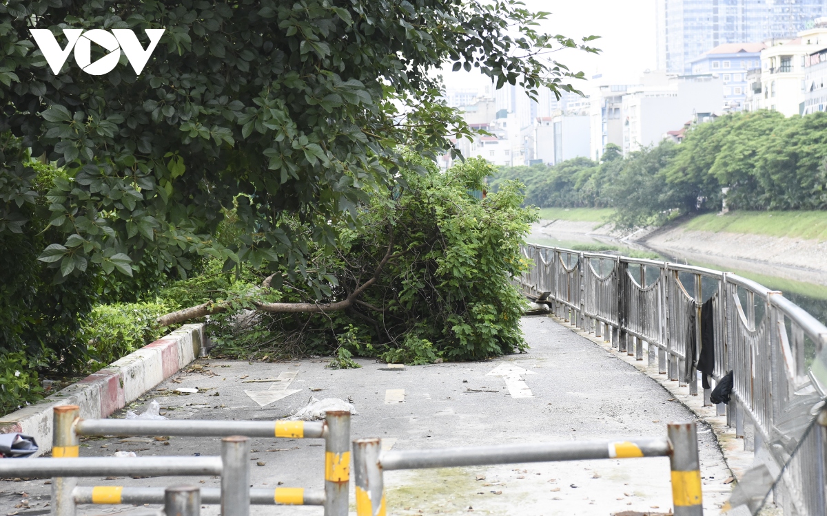 Đường đi bộ gần 65 tỷ đồng ở Hà Nội hoang tàn và ngập rác thải - Ảnh 15.