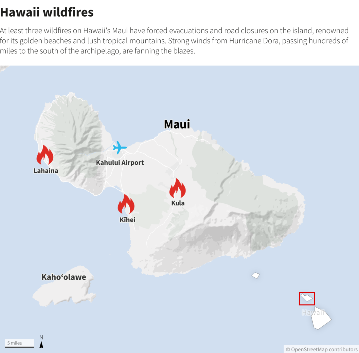 Cháy rừng thiêu rụi thị trấn du lịch Hawaii - Ảnh 2.