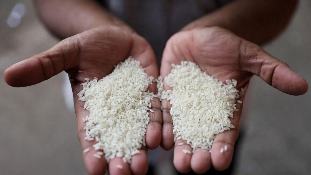 Ấn Độ cấm xuất khẩu gạo, Việt Nam, Thái Lan trước áp lực tăng xuất khẩu - ký ức 'hiệu ứng domino' 15 năm trước ùa về khiến thế giới đứng ngồi không yên - Ảnh 1.
