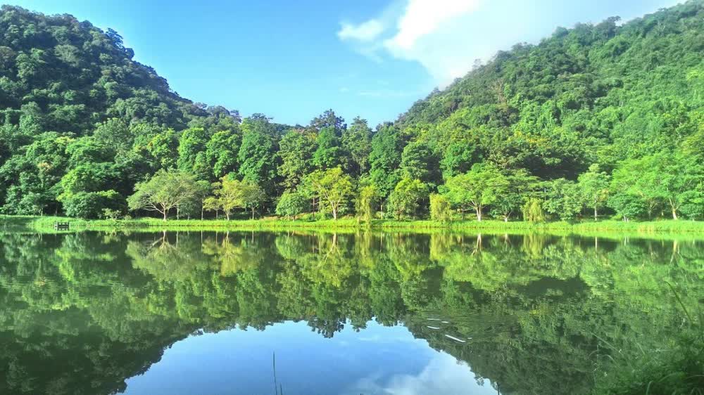 Một Vườn quốc gia Việt Nam vừa đạt giải hàng đầu châu Á, là năm thứ 5 liên tiếp được vinh danh - Ảnh 12.