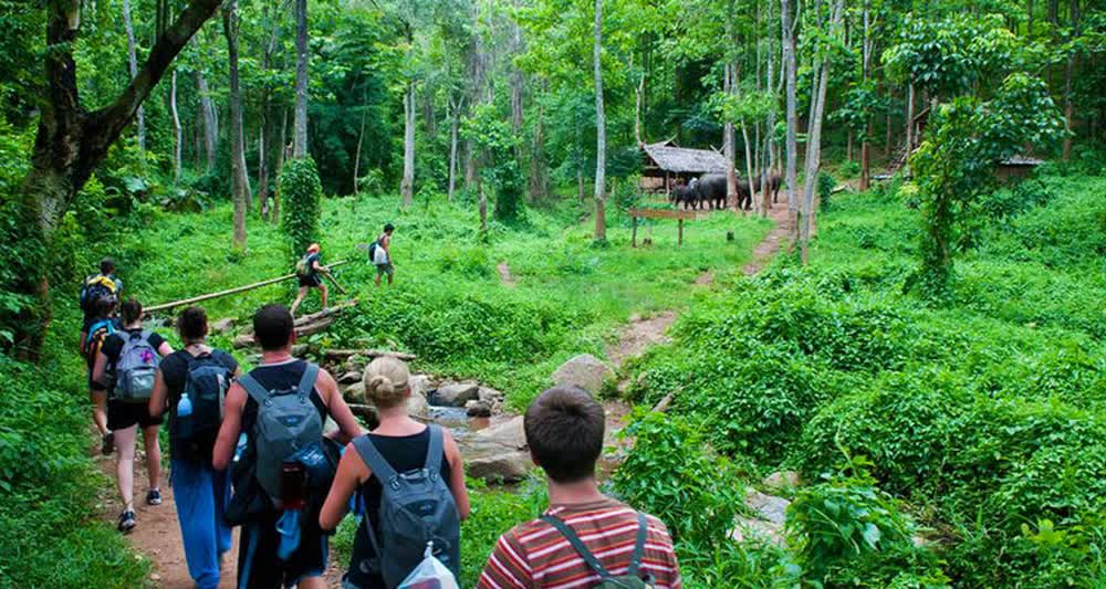 Một Vườn quốc gia Việt Nam vừa đạt giải hàng đầu châu Á, là năm thứ 5 liên tiếp được vinh danh - Ảnh 3.