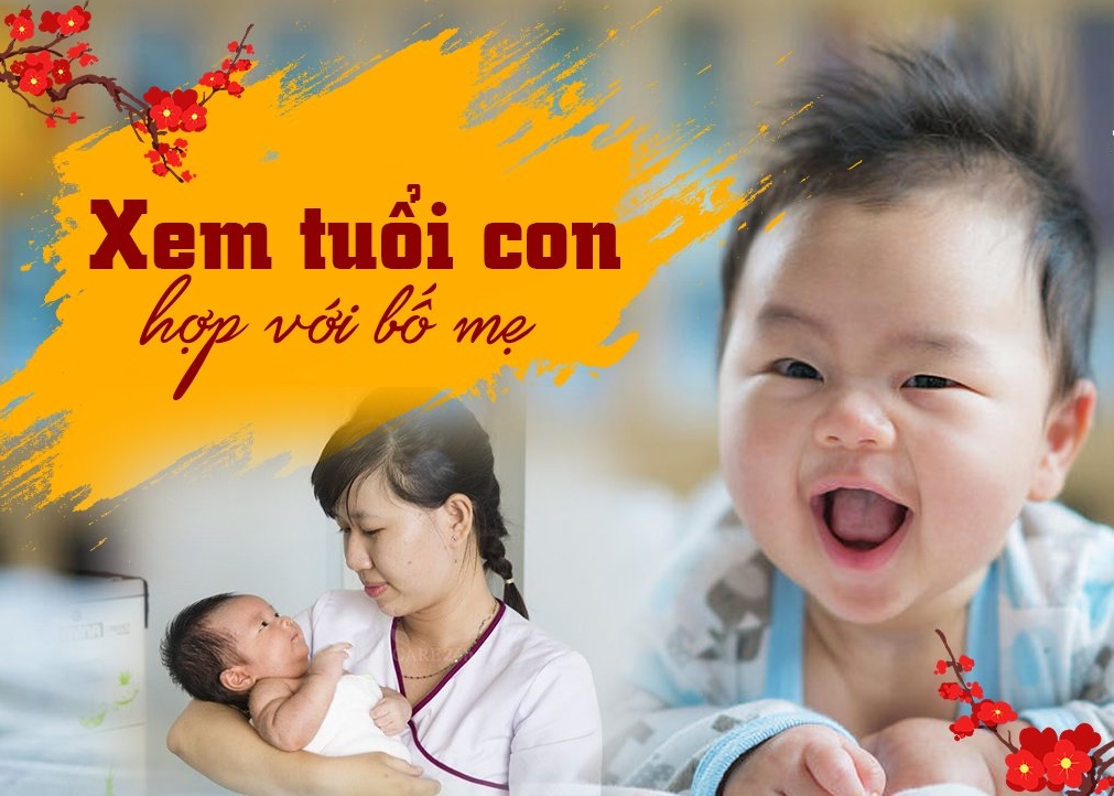 Bố Tuổi Sửu Con Tuổi Thìn Có Hợp Nhau Không? Tìm Hiểu Chi Tiết