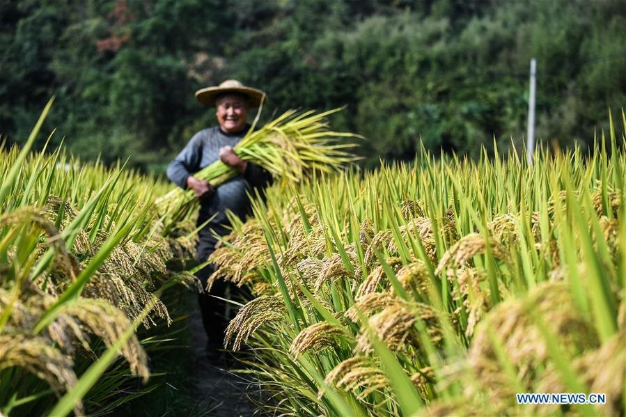 Lý do Trung Quốc đang đau đầu tìm cách 'nuôi' 1,4 tỷ dân - Ảnh 1.