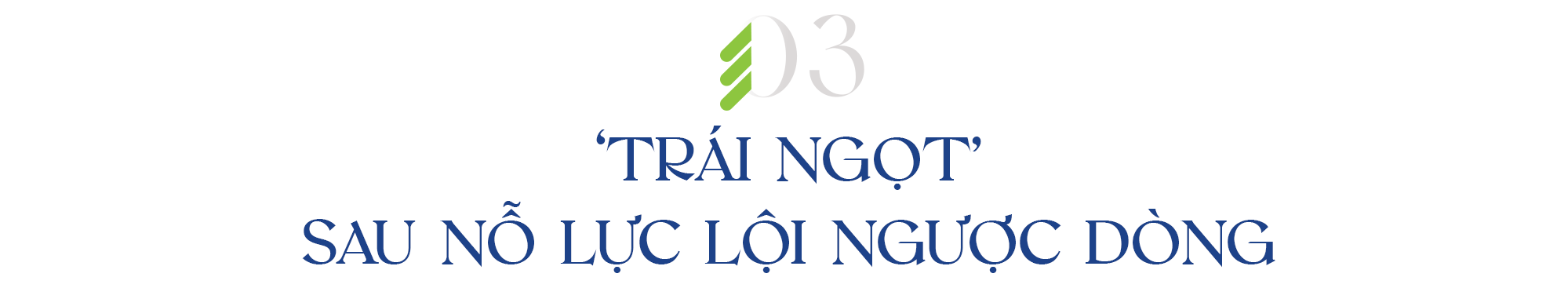 Nụ cười Việt Nam, bún chả và sự lựa chọn khác biệt của CEO người Hàn Quốc ở Pinetree - Ảnh 8.