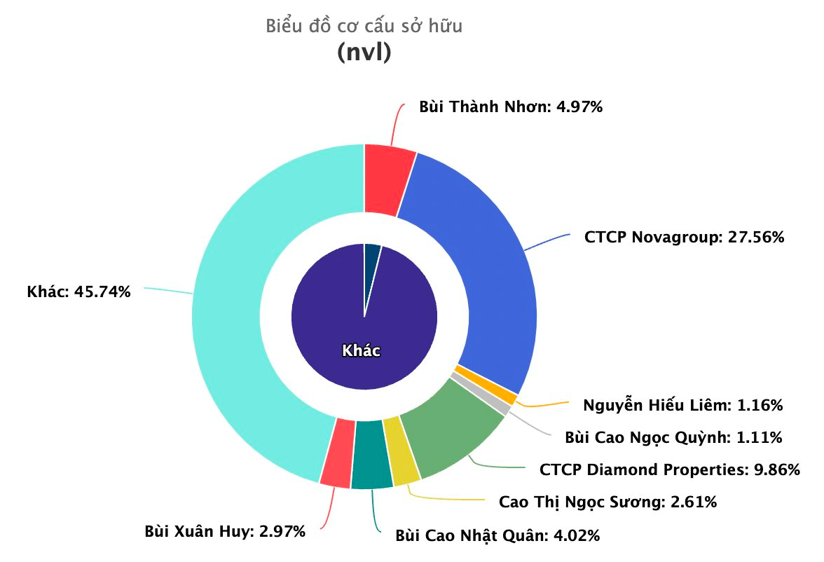 Novaland (NVL): Thị giá tăng 44% sau chưa đầy 1 tháng, Novagroup muốn bán thêm 43 triệu cổ phiếu - Ảnh 2.