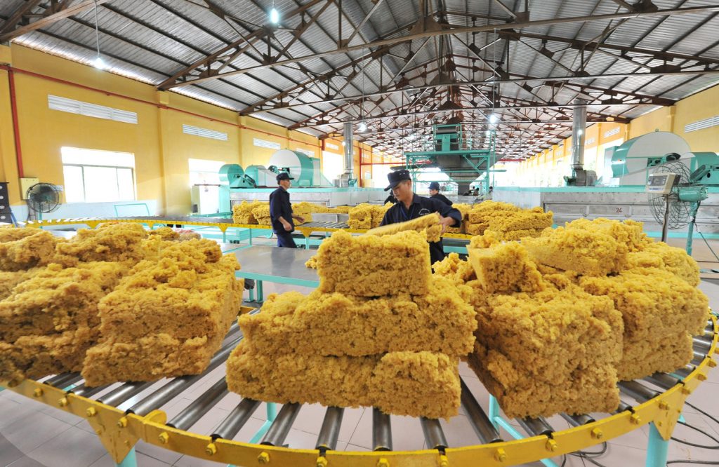 Trung Quốc chi tỷ USD nhập một mặt hàng, chiếm gần 80% tổng giá trị xuất khẩu của Việt Nam - Ảnh 1.