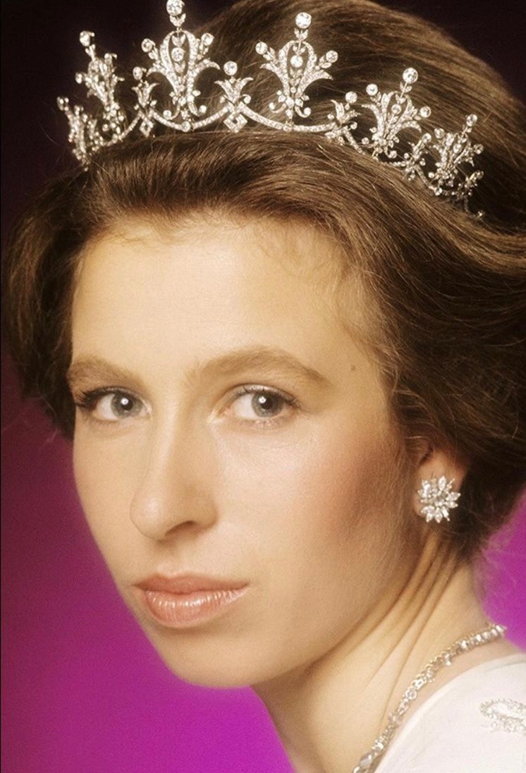 Bức ảnh Công chúa Anne gây sốt vào sinh nhật 73 tuổi - Ảnh 6.