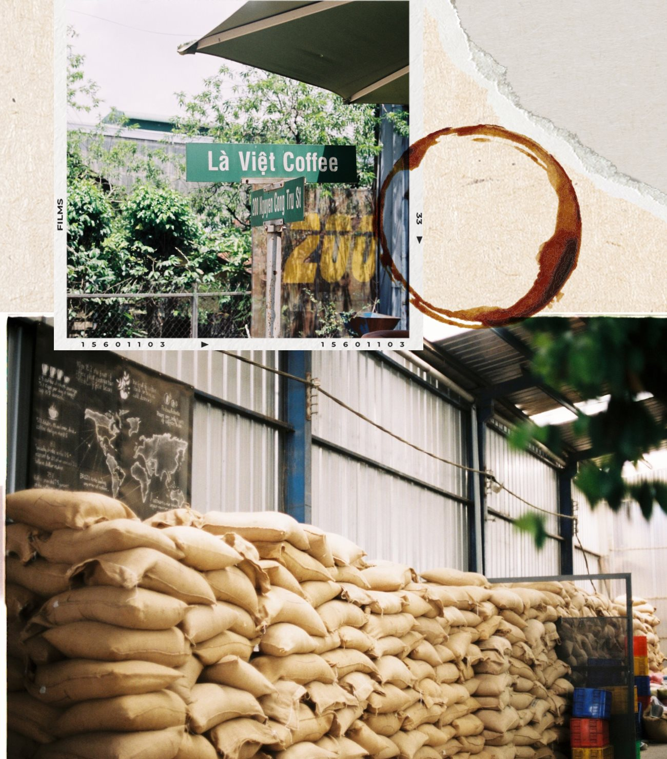 Nhà sáng lập Là Việt Coffee: 10 năm kiên trì với hạt Arabica, mở mô hình “từ nông trại đến tách” đầu tiên ở Việt Nam, bán 1 triệu ly cà phê mỗi năm - Ảnh 7.