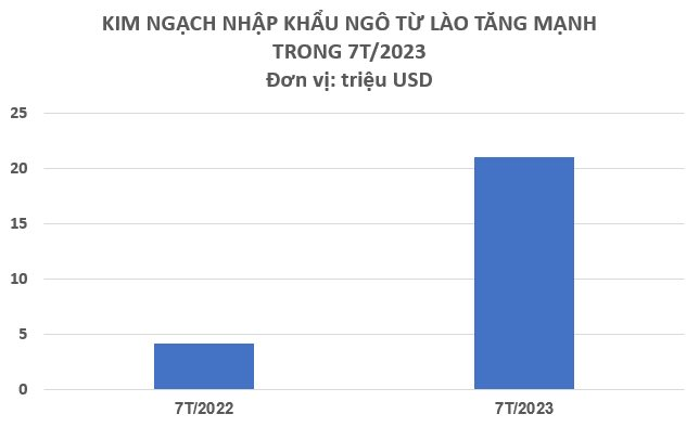 Một loại nông sản của Lào đang đổ bộ Việt Nam dù giá tăng chóng mặt: Nhập khẩu tăng gần 400% trong 7 tháng đầu năm dù sản lượng Việt Nam cao gấp gần 9 lần - Ảnh 2.