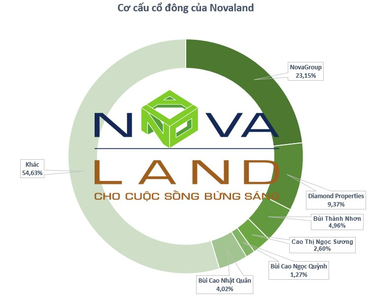 Hai tổ chức liên quan đến ông Bùi Thành Nhơn bị bán giải chấp thêm gần 5 triệu cổ phiếu Novaland - Ảnh 1.