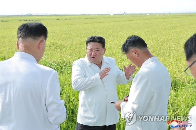 Ông Kim Jong-un lệnh cho máy bay quân sự phun thuốc bảo vệ mùa màng - Ảnh 2.