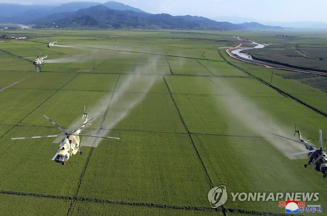 Ông Kim Jong-un lệnh cho máy bay quân sự phun thuốc bảo vệ mùa màng - Ảnh 4.