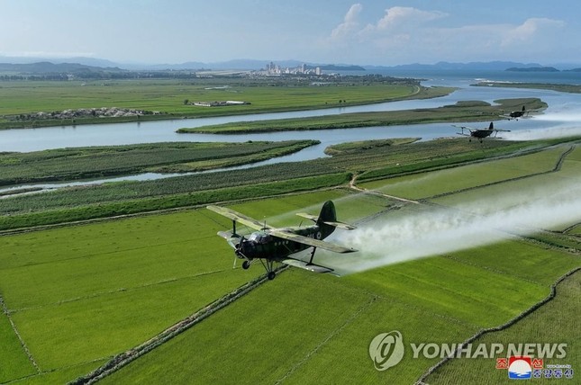 Ông Kim Jong-un lệnh cho máy bay quân sự phun thuốc bảo vệ mùa màng - Ảnh 5.