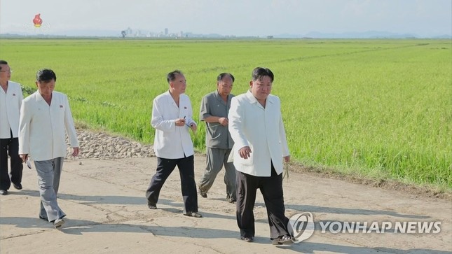 Ông Kim Jong-un lệnh cho máy bay quân sự phun thuốc bảo vệ mùa màng - Ảnh 1.