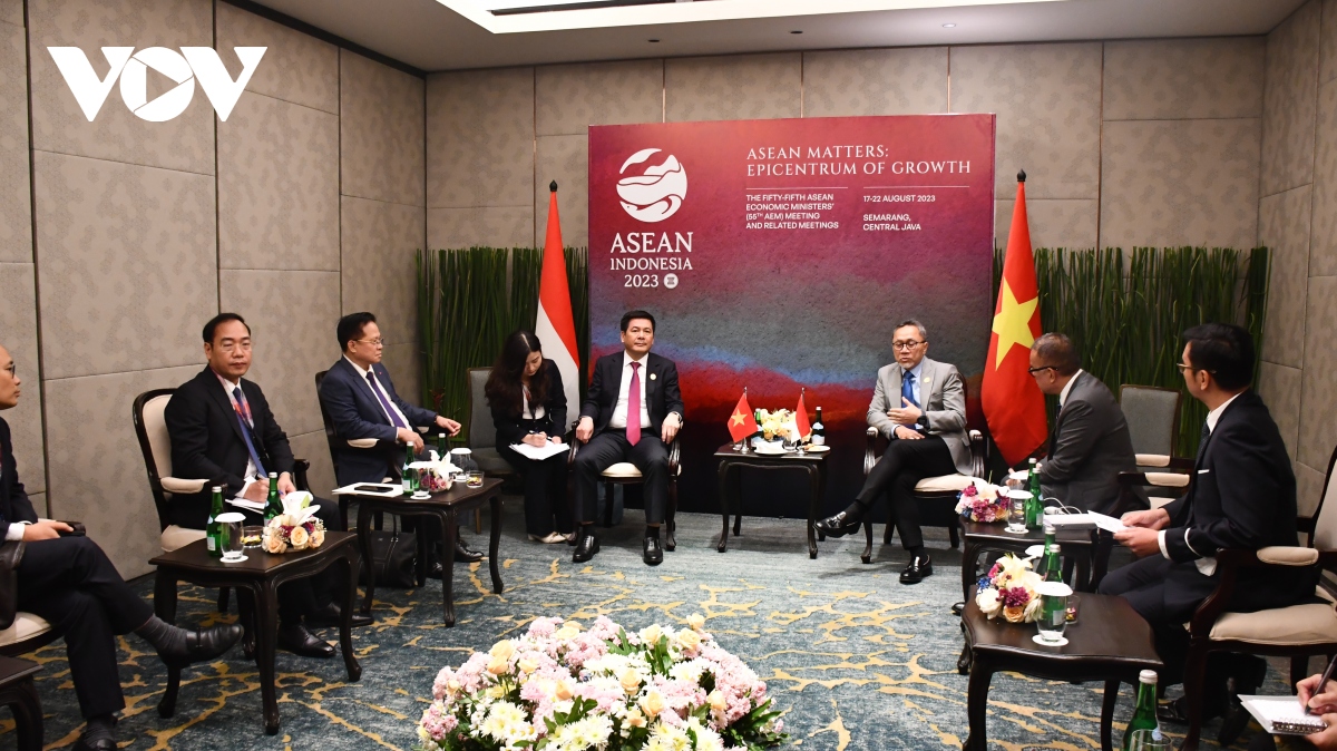 Hai lĩnh vực hợp tác tiềm năng giữa Việt Nam và Indonesia - Ảnh 1.