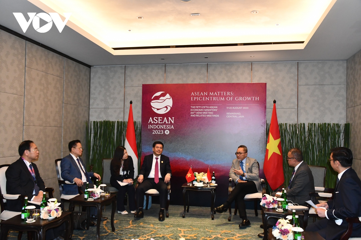 Hai lĩnh vực hợp tác tiềm năng giữa Việt Nam và Indonesia - Ảnh 2.