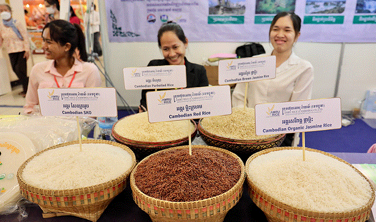 Quốc gia 'sát sườn' Việt Nam với giấc mơ trở thành ‘vựa gạo của ASEAN’ - Ảnh 2.