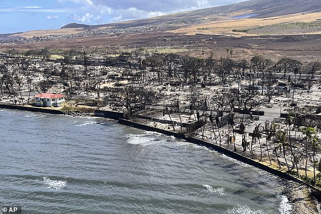 Sống sót giữa bão lửa trong thảm họa cháy rừng tại Hawaii, ngôi nhà trị giá 95 tỷ tạo ra cảnh tượng thần kỳ - Ảnh 3.