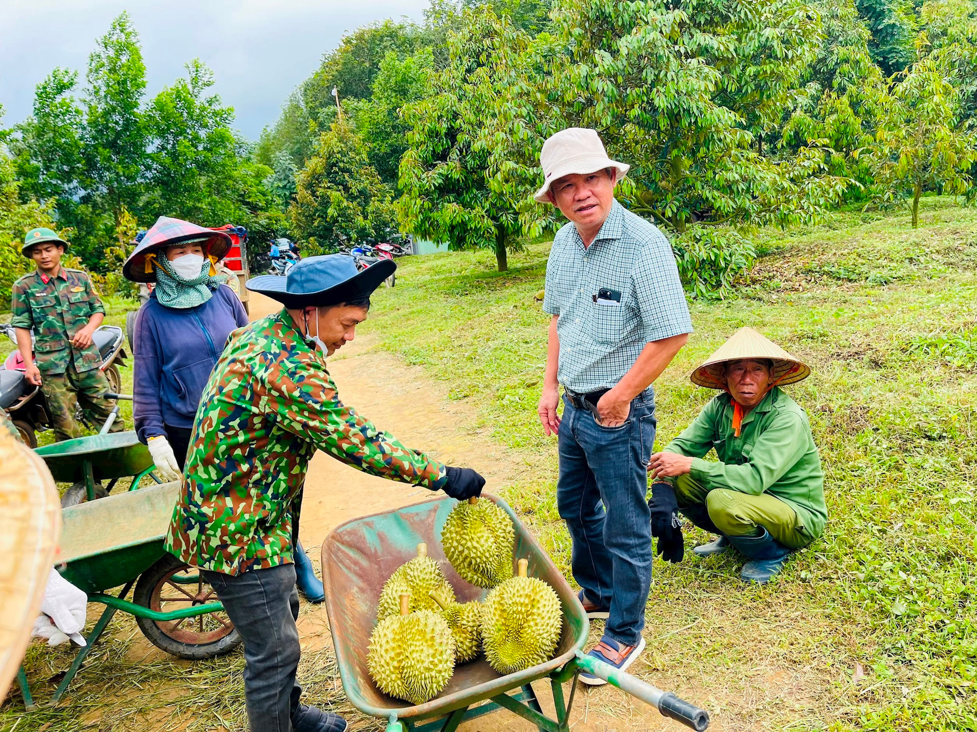 Bầu Đức: Đi thăm vườn sầu riêng sướng hơn đi đánh golf, tặng 1 thùng sầu riêng cho cổ đông sở hữu 200.000 cổ phiếu HAG trở lên - Ảnh 2.