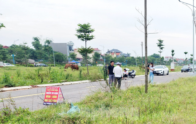 Điều tra phiên đấu giá 43 lô đất ở Bắc Giang - Ảnh 2.