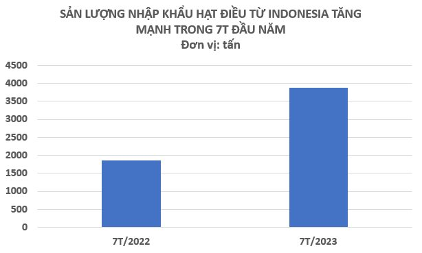 Một loại hạt của Indonesia đang ồ ạt tràn vào Việt Nam với giá rẻ bất ngờ mặc dù nước ta xuất khẩu đứng đầu thế giới - Ảnh 2.