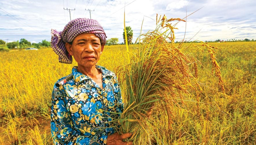 Quốc gia 'sát sườn' Việt Nam hưởng lợi lớn từ lệnh cấm của Ấn Độ: Giá gạo tăng 30-40%, thời cơ xuất khẩu rộng mở - Ảnh 1.