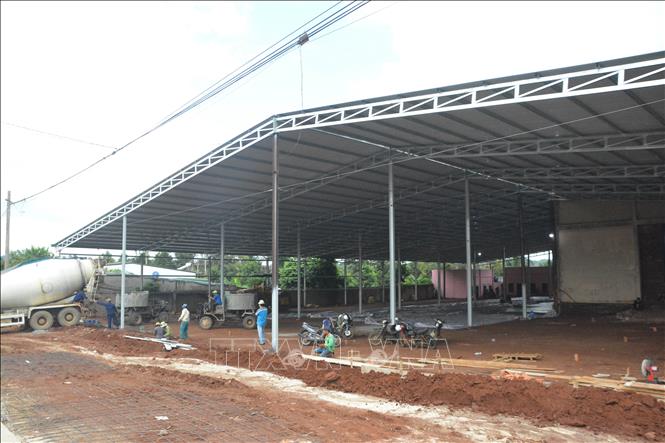 'Loạn' xây dựng kho, vựa thu mua sầu riêng tại Đắk Lắk - Ảnh 2.