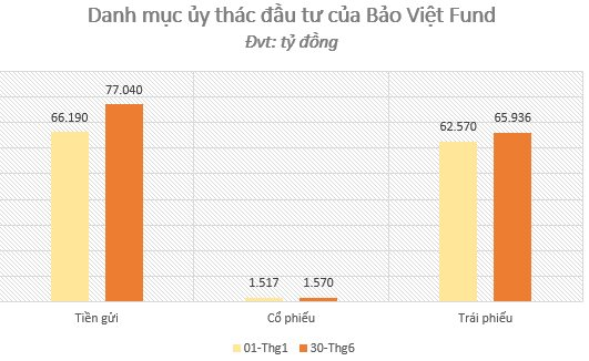 Một DN 19 nhân sự nhận ủy thác gần 2 tỷ USD từ Dai-ichi Life, danh mục đầu tư tạm lãi gần 2.700 tỷ đồng - Ảnh 5.