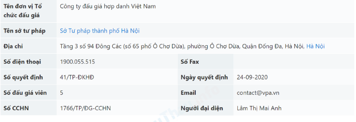 ‘Soi’ năng lực tài chính của Công ty đấu giá hợp danh Việt Nam - Ảnh 1.