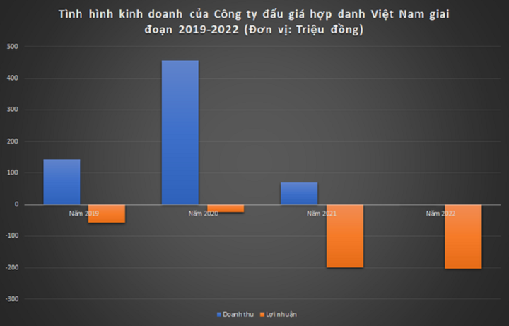 ‘Soi’ năng lực tài chính của Công ty đấu giá hợp danh Việt Nam - Ảnh 2.