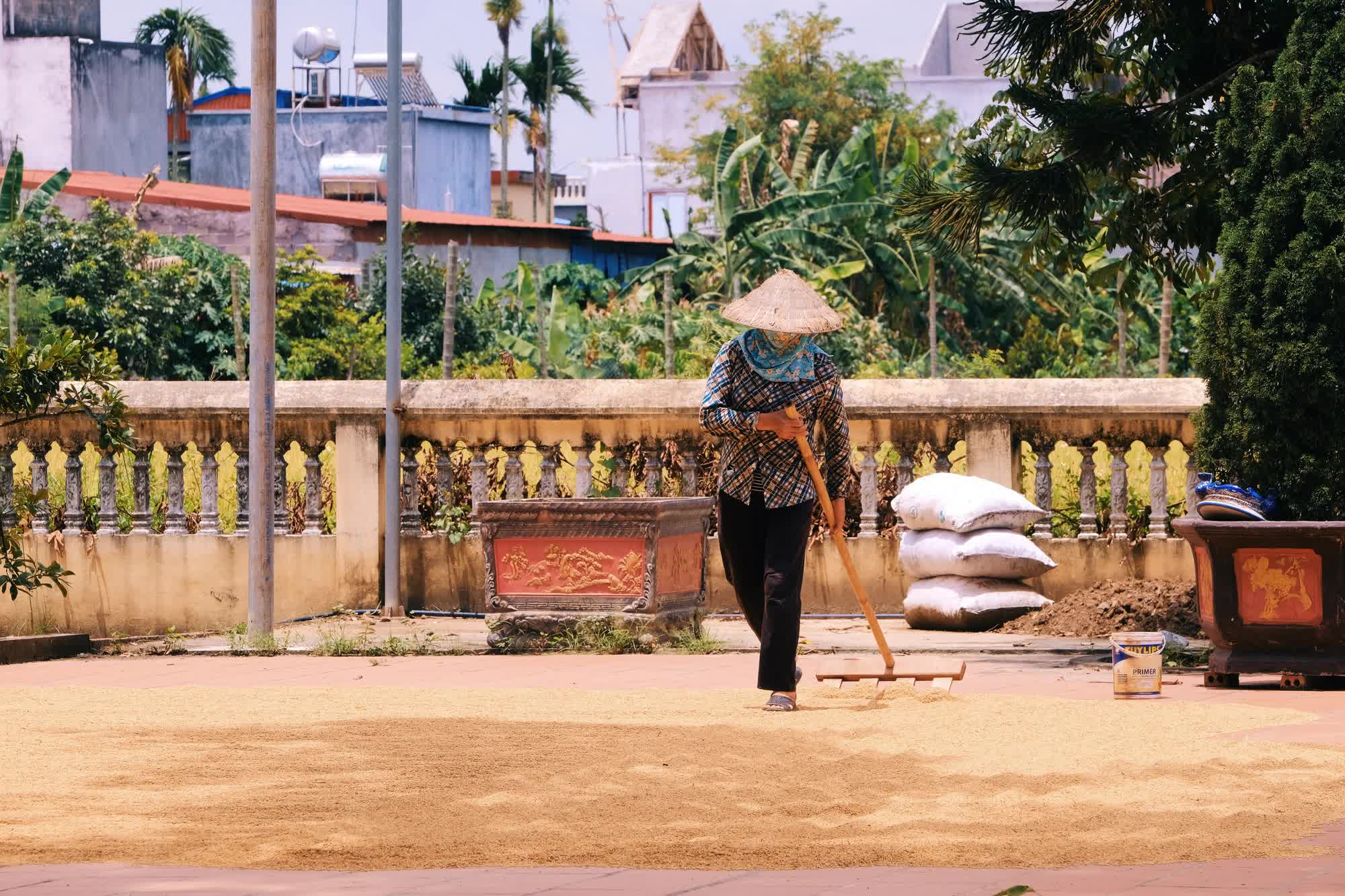 Về Hải Phòng thăm đền Mõ, nơi có cây gạo hơn 700 tuổi gắn liền với chuyện tình của nàng công chúa nổi tiếng nhất lịch sử Việt Nam - Ảnh 19.