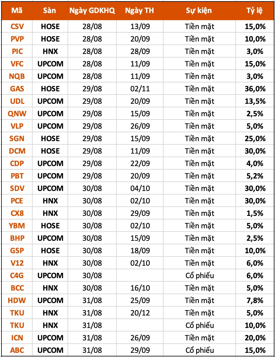 Lịch chốt quyền cổ tức tuần 28/8-1/9: Hàng loạt tên tuổi trả cổ tức tiền mặt cao, một doanh nghiệp chi gần 6.900 tỷ đồng trả cổ tức - Ảnh 1.
