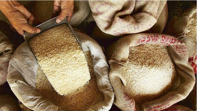 Ấn Độ áp đặt thuế 20% với gạo đồ xuất khẩu - Ảnh 1.