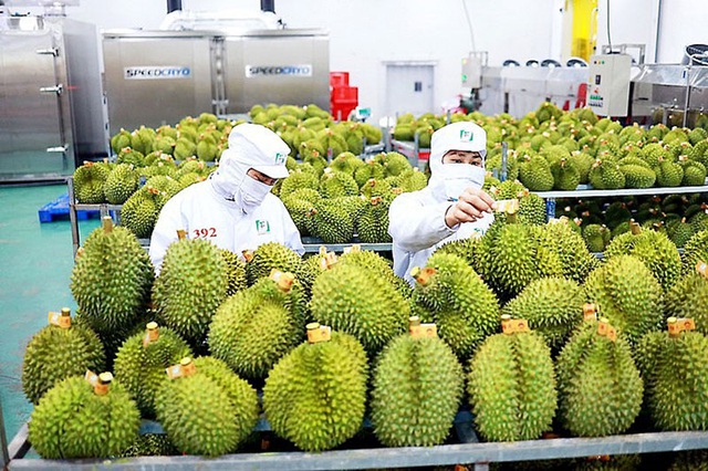 Xuất khẩu rau quả vào Trung Quốc tăng kỷ lục - Ảnh 1.