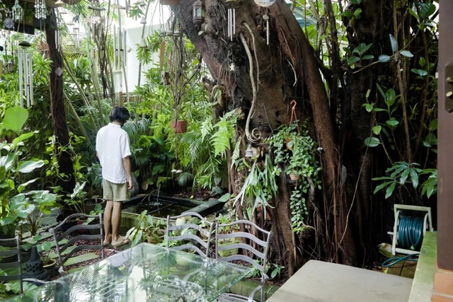 Căn nhà 360m2 hiếm khi phải dùng điều hoà, có đến 3 khu vườn xanh mướt cây như rừng nhiệt đới - Ảnh 7.