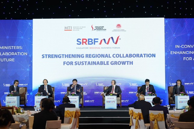 Singapore dẫn đầu ‘rót’ vốn FDI vào Việt Nam - Ảnh 2.
