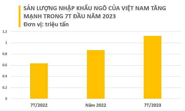 Không phải gạo, một loại hạt của Ấn Độ đang đổ bộ Việt Nam với giá rẻ bất giờ, xuất khẩu tăng mạnh trong 7 tháng đầu năm - Ảnh 2.