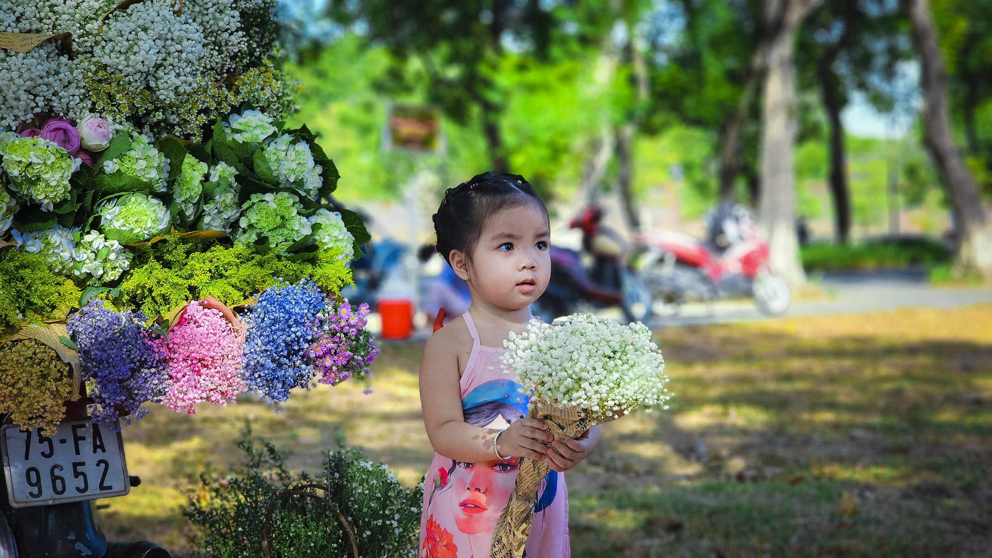 Giới trẻ tại Huế hào hứng với trào lưu checkin cùng xe hoa &quot;chở đầy&quot; mùa thu Hà Nội - Ảnh 13.