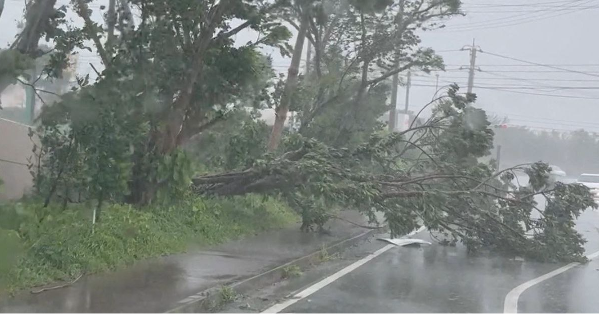 Nhật Bản 'báo động' vì bão lớn: Gió quật đổ xe, sóng đánh dồn dập; đã có người thiệt mạng - Ảnh 1.