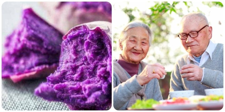 Loại củ màu tím chữa bách bệnh, kéo dài tuổi thọ cho người Nhật bán đầy chợ Việt Nam - Ảnh 1.