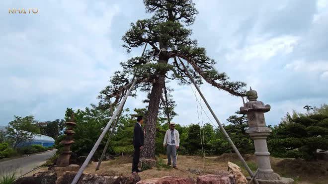 Thăm chủ nhân 15 vườn Nhật sở hữu loạt “bảo vật” quý giá nhất thế giới, rưng rưng thấy một vật dụng rất Việt Nam - Ảnh 2. Thăm chủ nhân 15 vườn Nhật sở hữu loạt “bảo vật” quý giá nhất thế giới, rưng rưng thấy một vật dụng rất Việt Nam - Ảnh 2.