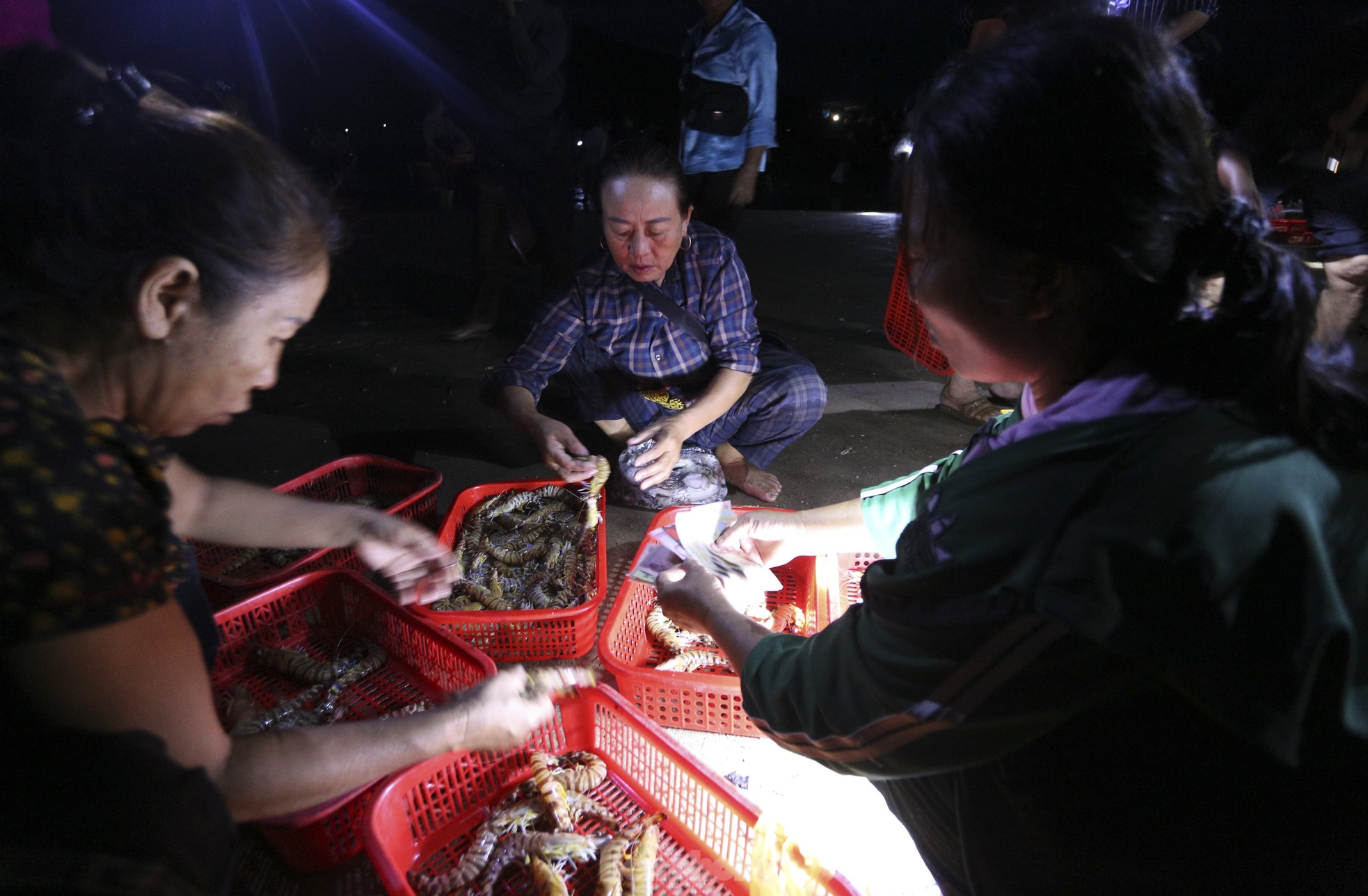 Soi đèn đi chợ hải sản đặc biệt ở Hà Tĩnh lúc tờ mờ sáng - Ảnh 8.